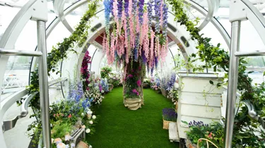 Chelsea Flower Show on London Eye