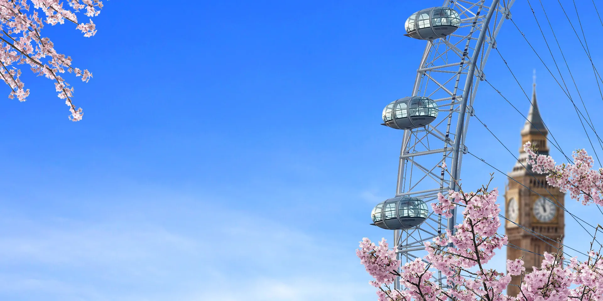 Spring Cherry Blossom Desktop