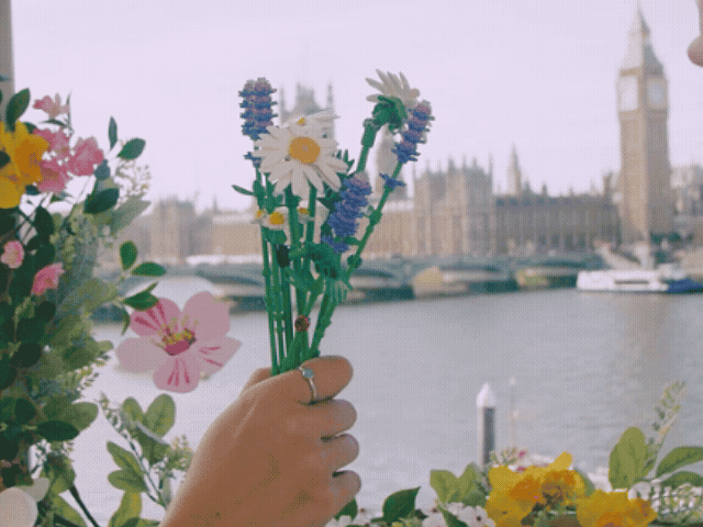 LEGO Botanicals Ticket GIF 2