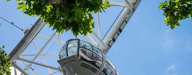 London Eye Capsule From Below