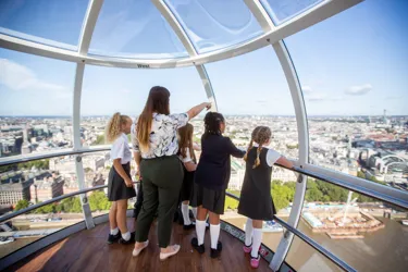 USF London Eye Education General 05