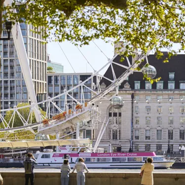 south bank view