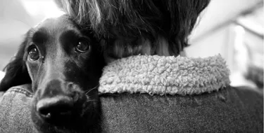 Cute Puppy Laying On Shoulder