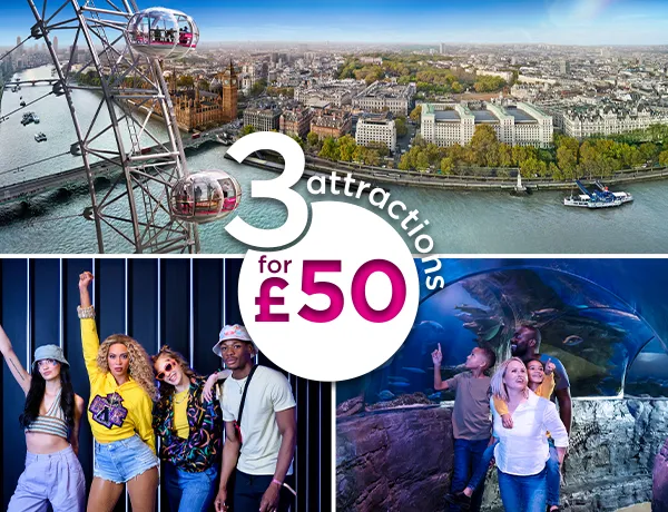 3 For 50 600X460 LE MTL SLLA