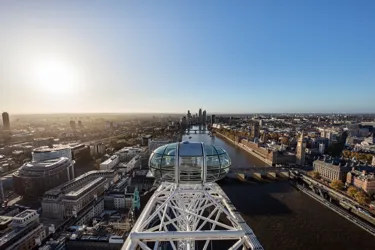 picture of london eye pod 