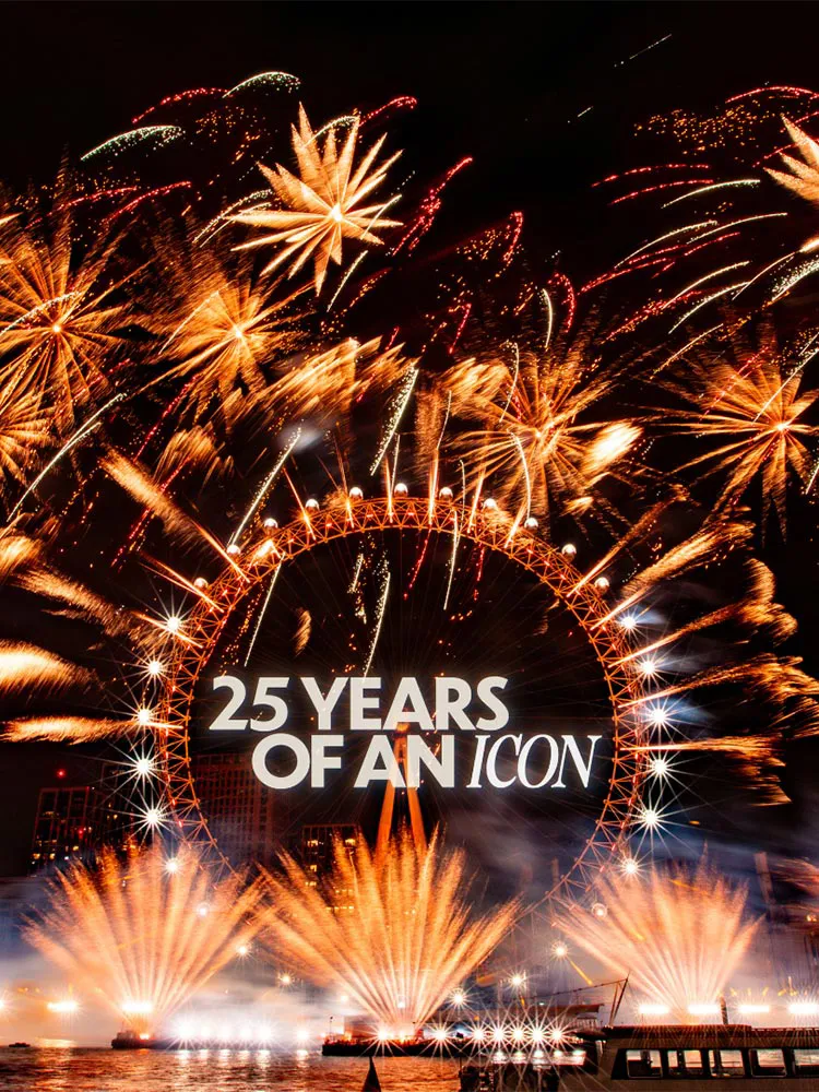 London Eye 25Th Portrait