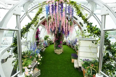 Chelsea Flower Show on London Eye