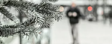 Snowy Christmas Tree Pine Needles
