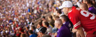 Fans Watching A Sports Game