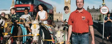 Donkeys on Westminster bridge