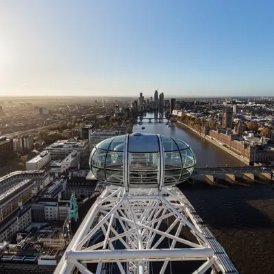 London Eye LE SOUTH Licensed Indefinitely Zoom