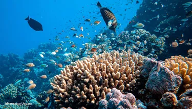 LE Earth Day Image 3 720X410px