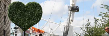 London Eye with heart shaped bush in front